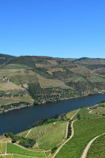 Douro Authentic Standard - Company Mission and Inclusions