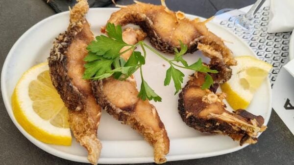DOURO: Boat Trip (Tua - Pinhão) + Lunch (Short Pants) - Transport Options