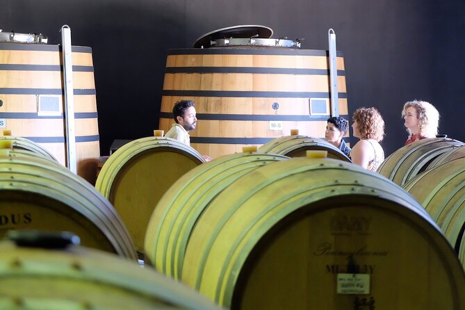 Douro Call - a Private Food and Wine Experience to the Douro Valley - Inclusions