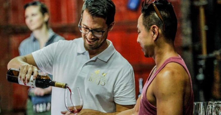 Douro: Classic Wine Tasting With Guided Tour - Experience