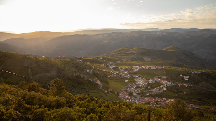 Douro: Magical Moments - Pricing and Reservation
