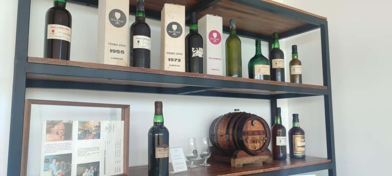 Douro: Martha's Harvest - DOC Wine Tour and Tasting - What Sets This Tour Apart