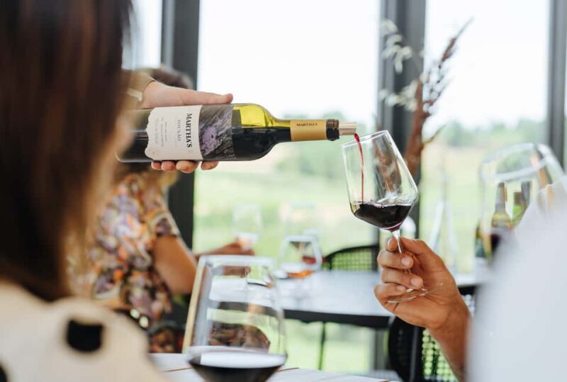 Douro: Martha's Harvest - DOC Wine Tour and Tasting - Practical Details and Value