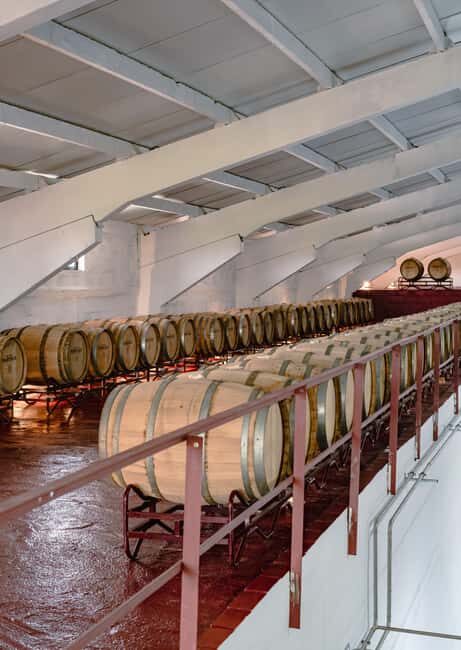 Douro: Martha's Legacy: Port Wine Tour and Tasting - Tour Length and Group Size  
