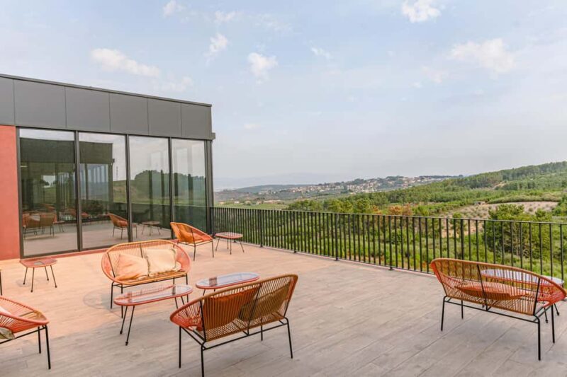 Douro: Martha's Selection - Premium Wine Tour and Tasting - Exploring the Douro: Marthas Selection in Depth