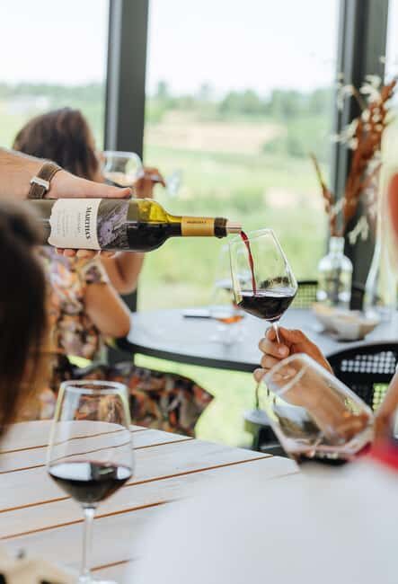 Douro: Martha's Selection - Premium Wine Tour and Tasting - Final Thoughts