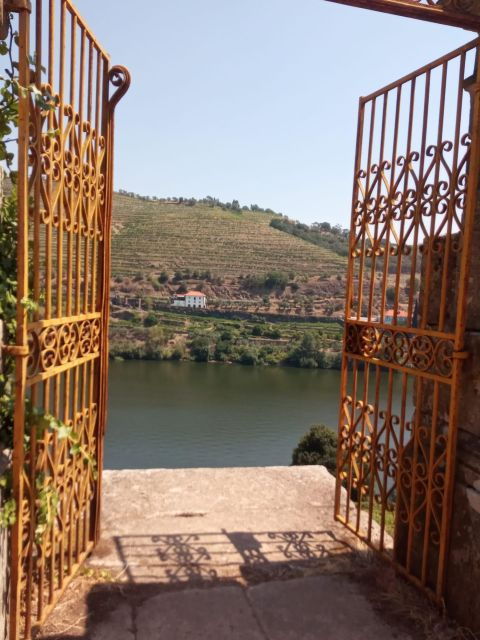 Douro - Pacheca: luxury walking with full lunch and wines - What to Expect: A Day of Balance and Beauty