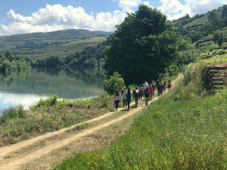 Douro - Pacheca: luxury walking with full lunch and wines - Who Would Love This Tour?