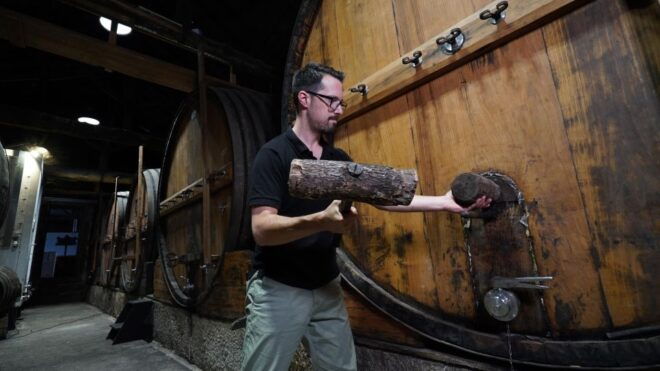 Douro: Porto Wine Tasting With Guided Tour - Full Description