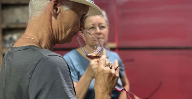 Douro: Porto Wine Tasting With Guided Tour - Important Information