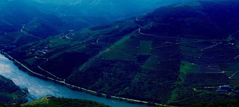 DOURO PREMIUM - The Douro Premium Tour: A Complete Look