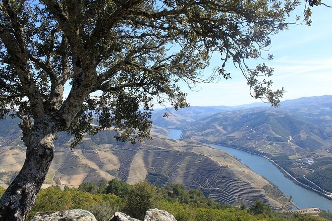 Douro Private Day Tour With Boat Ride - Wine Tasting Experience