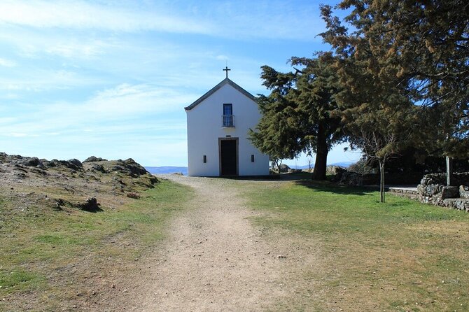 Douro Private Day Tour With Boat Ride - Lunch at a Local Restaurant