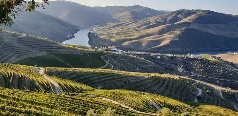 Douro Private Tour  Customizable Experience - Good To Know
