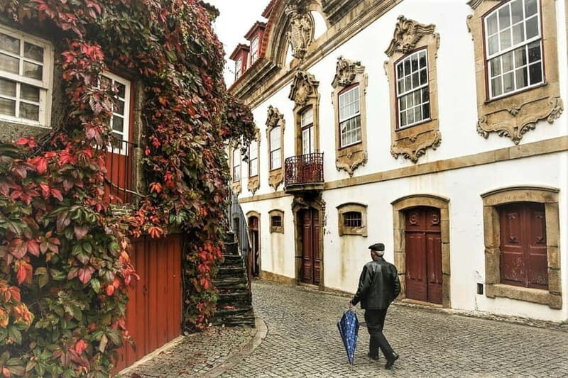 Douro Private Tour  Customizable Experience - Practical Tips for Your Trip