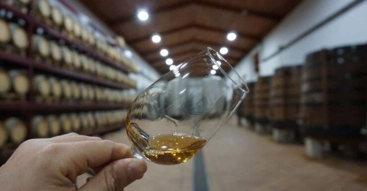 Douro: Quinta Levandeira Do Roncão Tour & Wine Tasting - Good To Know