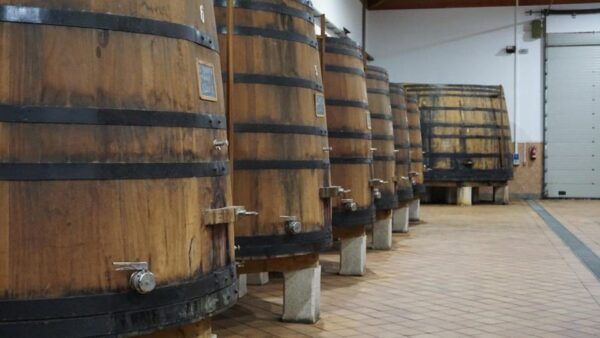 Douro: Quinta Levandeira Do Roncão Tour & Wine Tasting - Accessibility Features