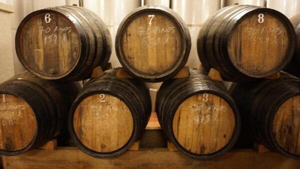 Douro: Quinta Levandeira Do Roncão Tour & Wine Tasting - Booking and Cancellation Policy
