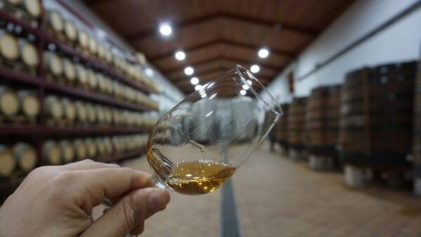 Douro: Quinta Levandeira Do Roncão Tour & Wine Tasting - Nearby Attractions and Activities