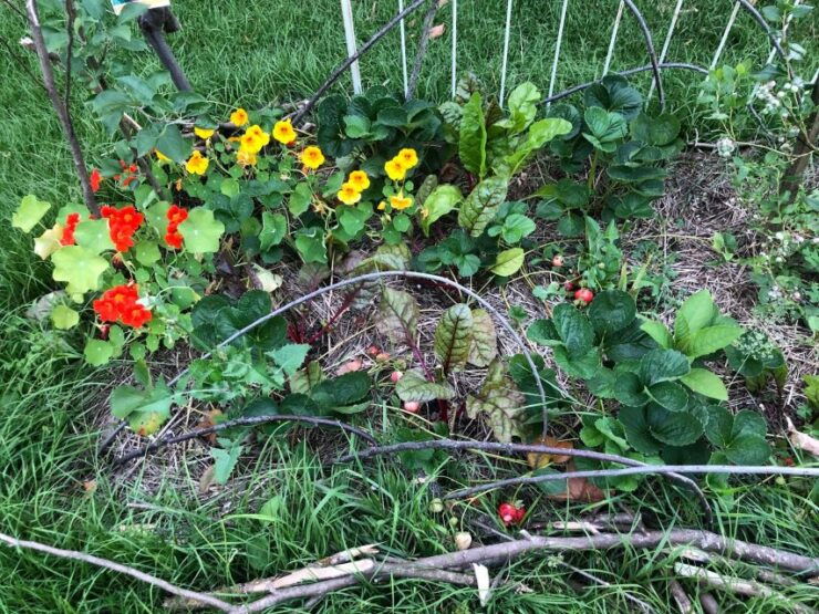 Douro Region: Slow Life and Permaculture Farm Experience - Experience Details