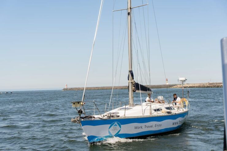 Douro River Cruise With Cheese & Tonic Porto in a Sailboat - Pricing and Availability
