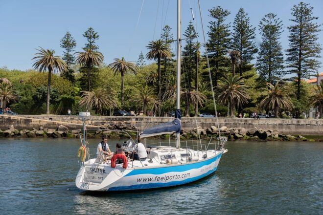 Douro River Cruise With Cheese & Tonic Porto in a Sailboat - Highlights and Inclusions