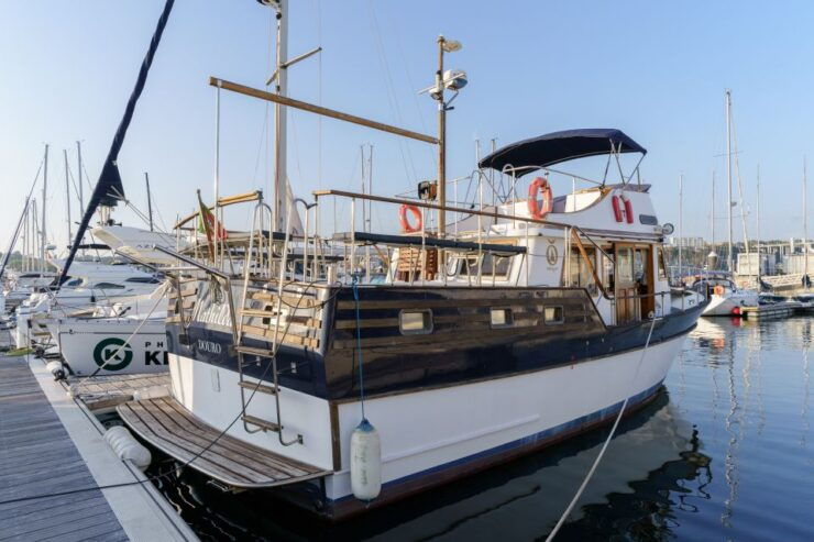 Douro River: Party Boat Tour - Activity Details