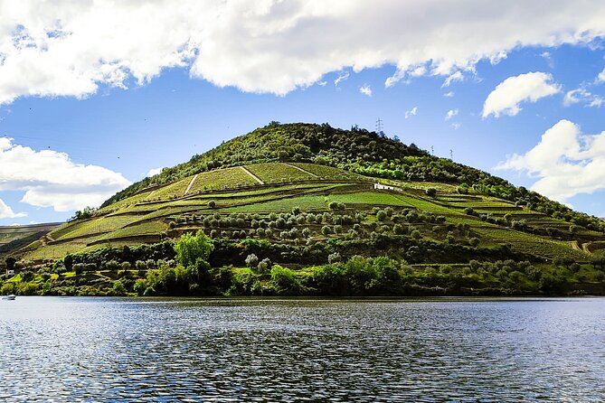 Douro Roots & History - Tour With a Local - Tour Highlights