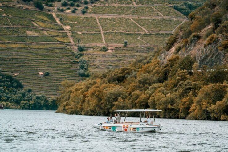 Douro: Solar Boat Tour 1 Hour Wine Tasting Included - Tour Experience Highlights