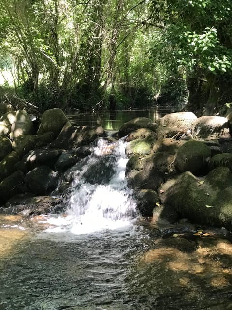 Douro: Stunning Water Walking Adventure With Local Lunch - Participant Requirements and Recommendations