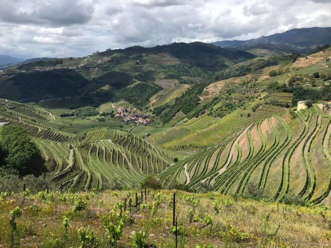 Douro: Stunning Water Walking Adventure With Local Lunch - Whats Included and Whats Not