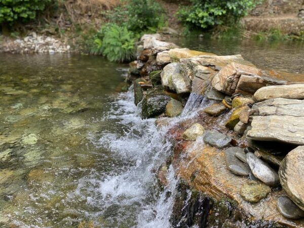 Douro: Stunning Water Walking Adventure With Local Lunch - Taking in Local Gastronomy