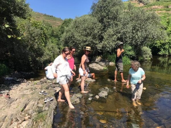 Douro: Stunning Water Walking Adventure With Local Lunch - Practical Information for Visitors