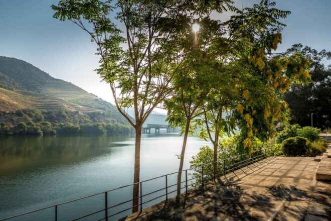 Douro the Crown Jewel - Culinary Delights in Douro