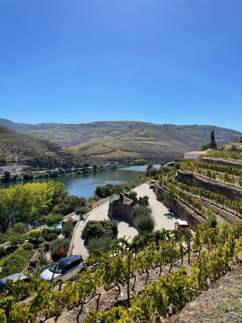 DOURO: TOUR FD DOURO VINEYARD MERCEDES V EXT LONG - Tour Highlights