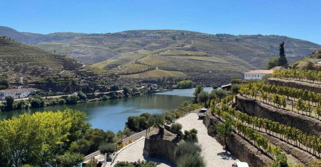 DOURO: TOUR FD DOURO VINEYARD MERCEDES V EXT LONG - Booking Details