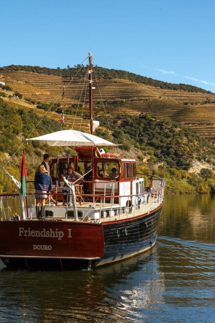 Douro Tour: Renowned Winery´s Lunch & Private Luxury Cruise - Experience Highlights
