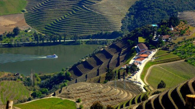 Douro Tour: Renowned Winery´s Lunch & Private Luxury Cruise - Inclusions