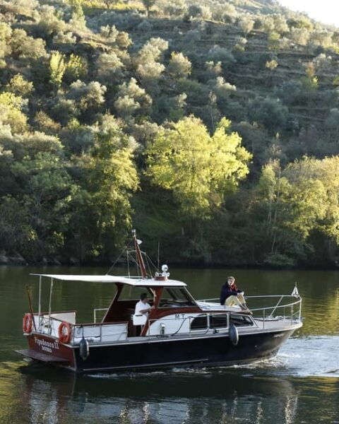 Douro Tour: Renowned Winery´s Lunch & Private Luxury Cruise - Cancellation Policy