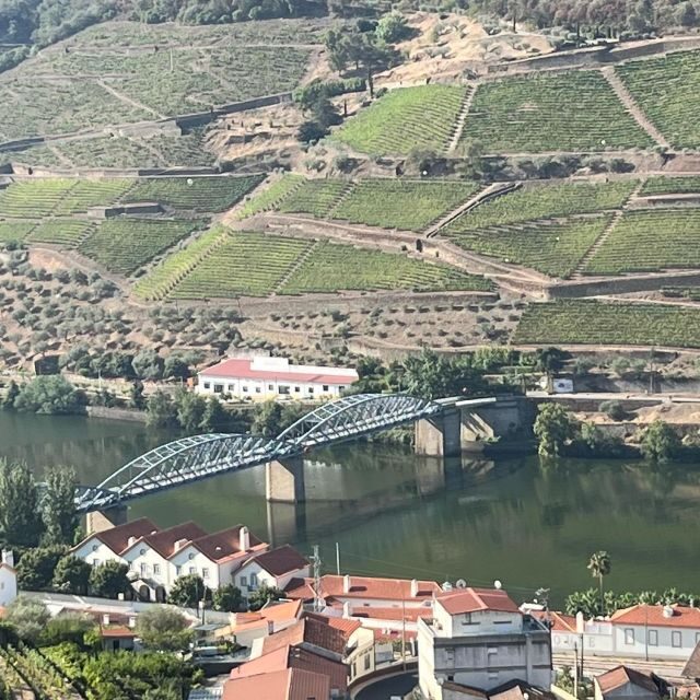 Douro Tour: Wine Tastings, Boat Ride & Manor House Lunch - What Sets This Tour Apart?