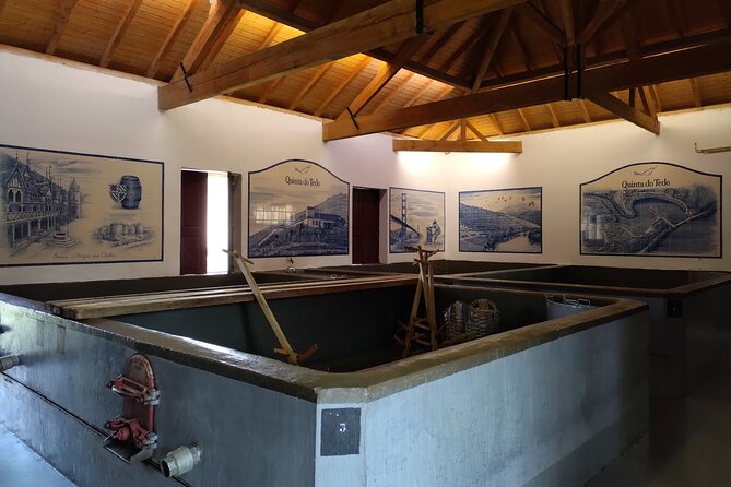 Douro Tour With 2 Wineries and Lunch on a Century House - Winery 2: Tasting and Tour