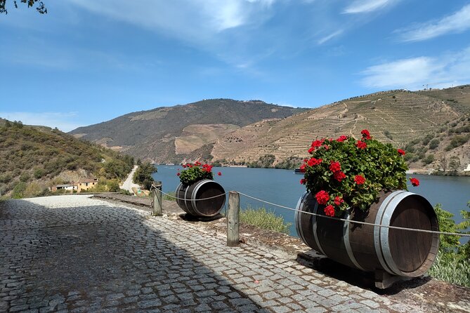 Douro Tour With 2 Wineries and Lunch on a Century House - Lunch at Century House