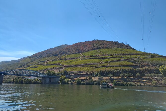 Douro Tour With 2 Wineries and Lunch on a Century House - Scenic Douro River Cruise