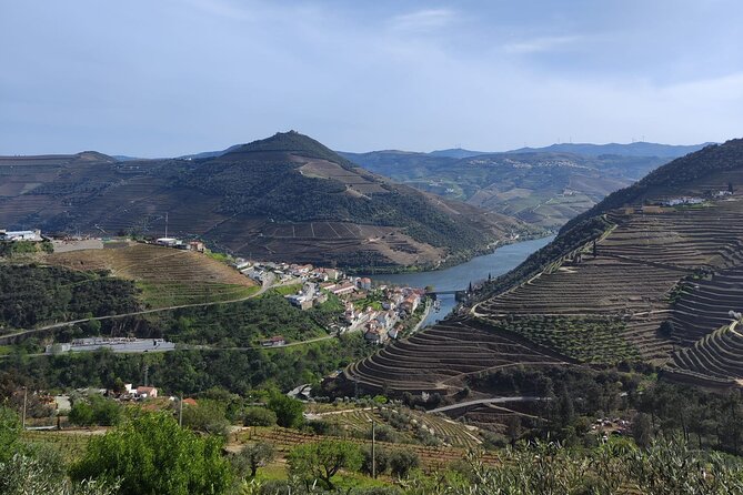 Douro Tour With 2 Wineries and Lunch on a Century House - Return and The Sum Up