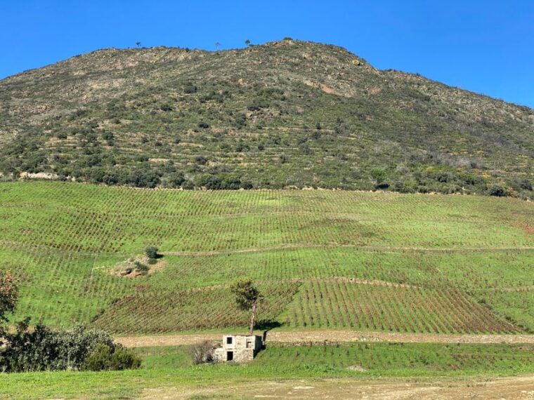 Douro - tour with train, walking, picnic and wines - Value and Practicalities