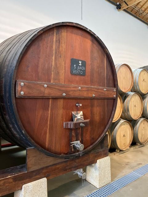 Douro - tour with train, walking, picnic and wines - Final Thoughts