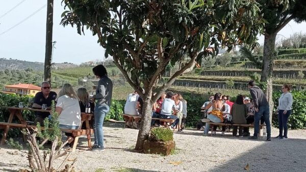 Douro Tour With Wine Tasting and Visit to Lamego and Pinhão - Free Time for Lunch and Exploration