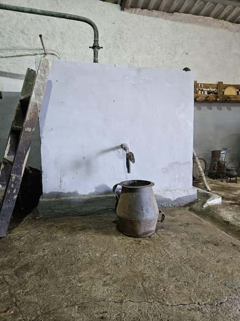 Douro: Traditional Harvest Lunch at Quinta de Sobre a Fonte - Good To Know