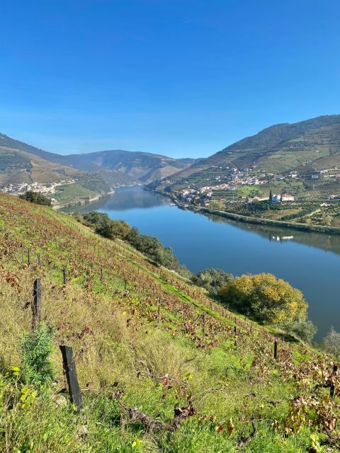 Douro triathlon from Porto - car, walk and train - FAQ