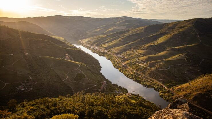 Douro: Unforgettable Douro - Good To Know